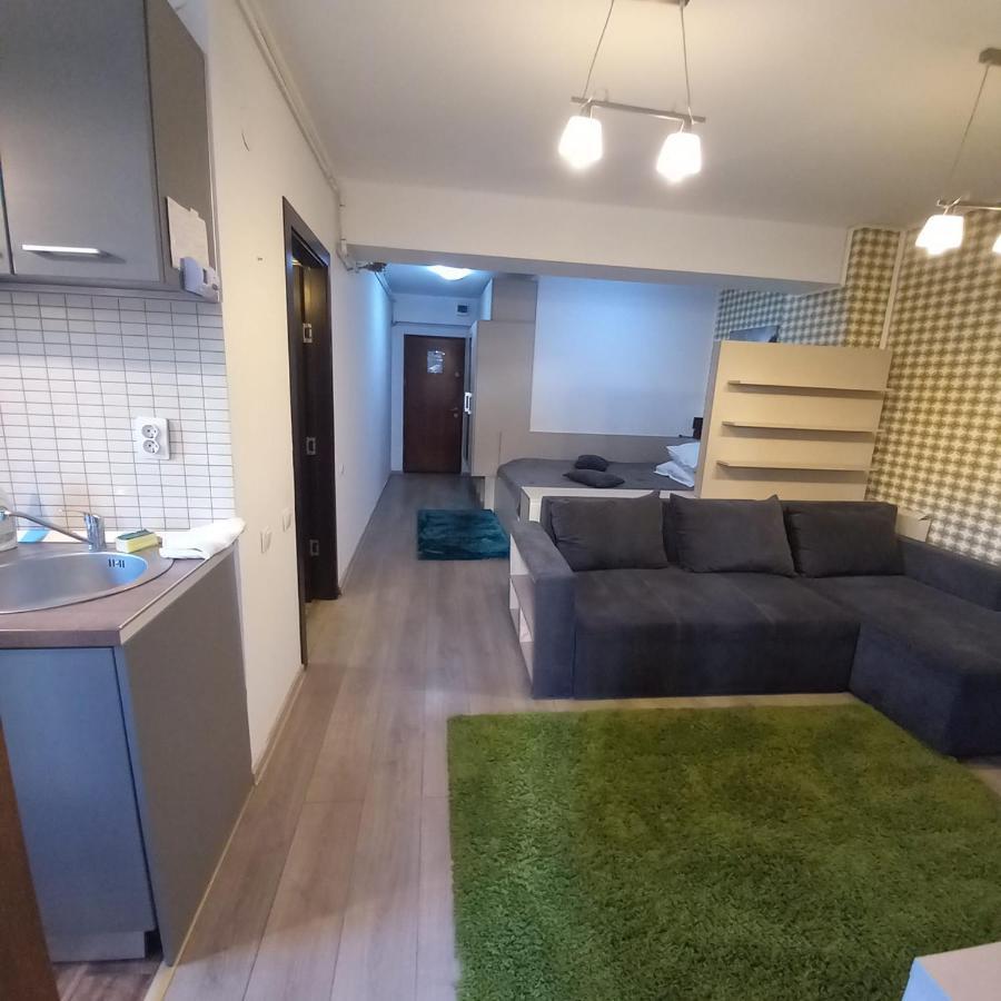 Apartament Aosta Central Sinaia Apartment Екстериор снимка